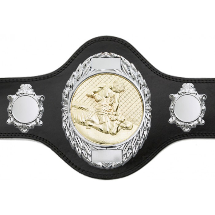 MMA CHAMPIONSHIP BELT-PLT286/S/MMAG-4 COLOURS