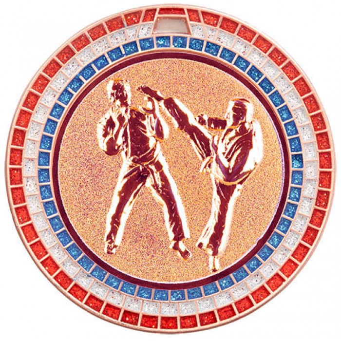 Karate Medal with Red, White & Blue Ribbon - Bridgewater Trophy